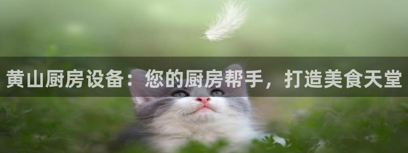 尊龙新版官网网页版