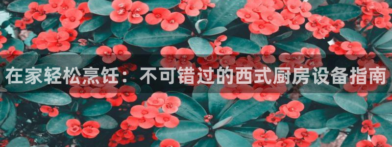 尊龙凯时能提现吗