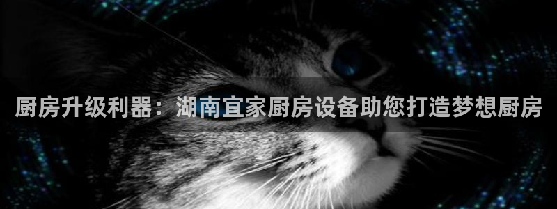 凯时官网手机版下载：厨房升级利器：湖南宜家厨房设备助您打造梦