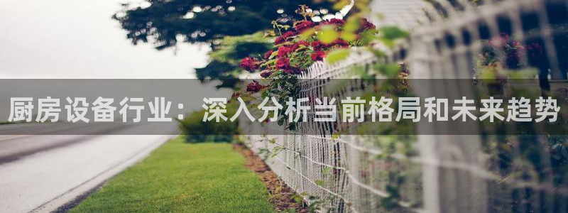 尊龙凯时平台入口：厨房设备行业：深入分析当前格局和未来趋势