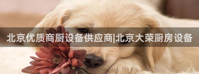 尊龙手机官方客户端下载