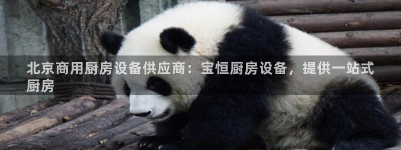 尊龙z6网址：北京商用厨房设备供应商：宝恒厨房设备，提供一站