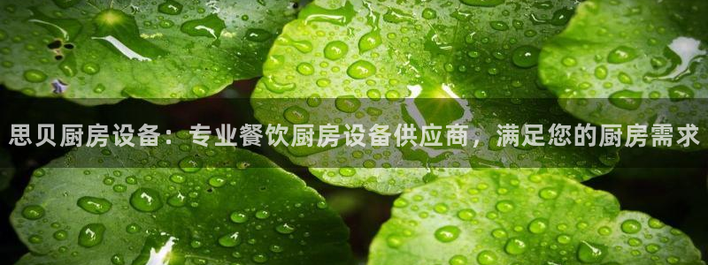 尊龙凯时推荐人：思贝厨房设备：专业餐饮厨房设备供应商，满足您
