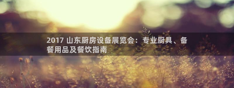 尊龙AG发财网：2017 山东厨房设备展览会：专业厨具、备
