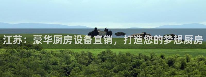 尊龙人生就是博官网登录手机：江苏：豪华厨房设备直销，打造您的