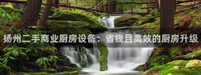 凯时国际娱乐官方网址：扬州二手商业厨房设备：省钱且高效的厨房