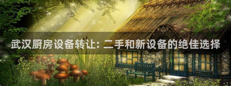 尊龙d88官网新版：武汉厨房设备转让: 二手和新设备的绝佳选