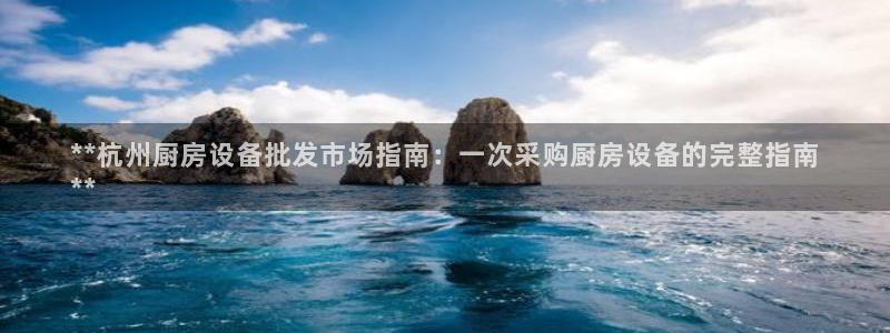 尊龙凯时企业文化：**杭州厨房设备批发市场指南：一次采购厨房