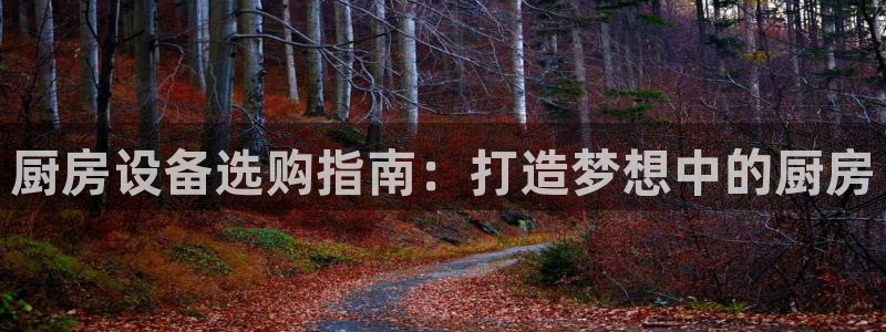 尊龙凯时·中国官方网站：厨房设备选购指南：打造梦想中的厨房