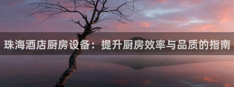 凯时ag旗舰厅登录：珠海酒店厨房设备：提升厨房效率与品质的指