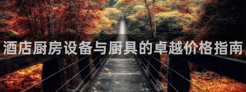 尊龙凯时ag旗舰厅官网客服：酒店厨房设备与厨具的卓越价格指南