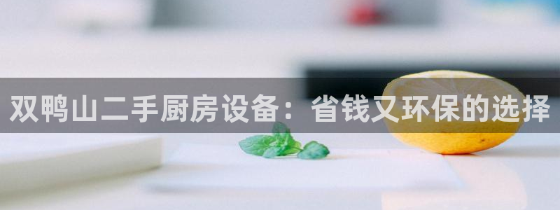 尊龙ag旗舰厅官网官方入口：双鸭山二手厨房设备：省钱又环保的