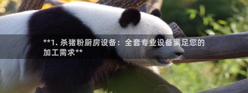 尊龙凯时赞助：**1. 杀猪粉厨房设备：全套专业设备满足您的