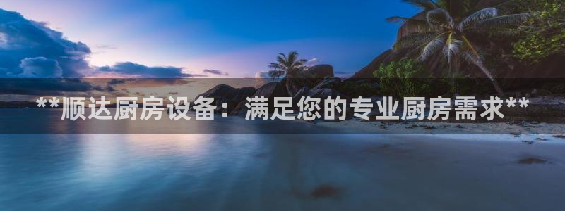 尊龙ag旗舰：**顺达厨房设备：满足您的专业厨房需求**
