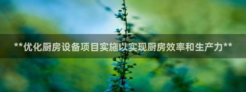 尊龙凯时人生就是博中国官网：**优化厨房设备项目实施以实现厨