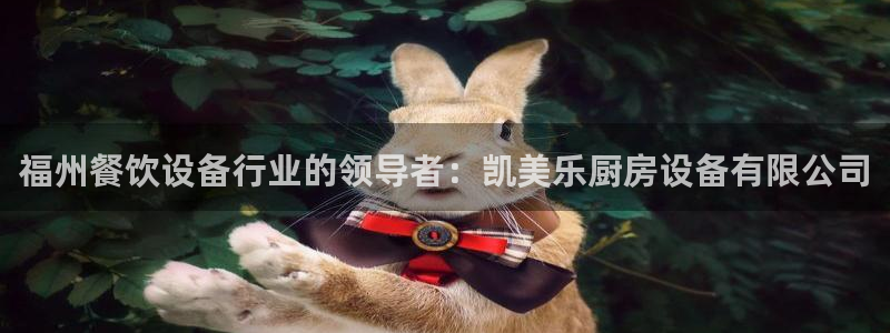 尊龙人生就是傅官网：福州餐饮设备行业的领导者：凯美乐厨房设备
