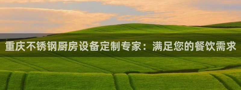 尊龙凯时人生就是搏官：重庆不锈钢厨房设备定制专家：满足您的餐