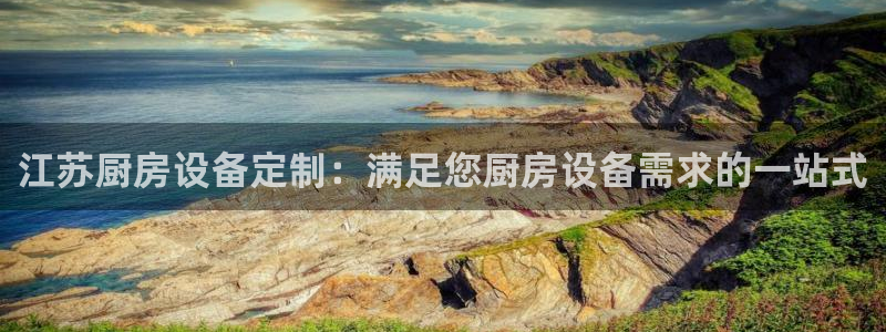 尊龙实业有限公司属于国企吗：江苏厨房设备定制：满足您厨房设备