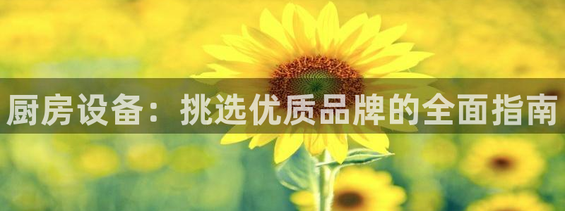 尊龙凯时人生就是搏平台：厨房设备：挑选优质品牌的全面指南