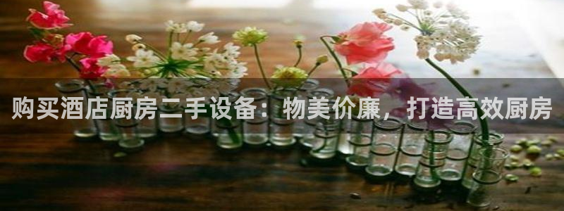尊龙凯时老板：购买酒店厨房二手设备：物美价廉，打造高效厨房