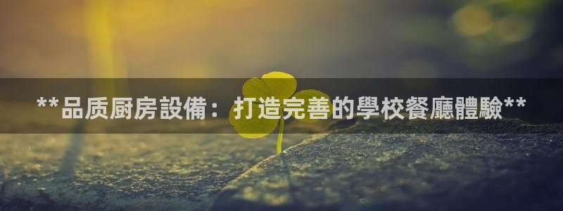 尊龙凯时logo：**品质厨房設備：打造完善的學校餐廳體驗*