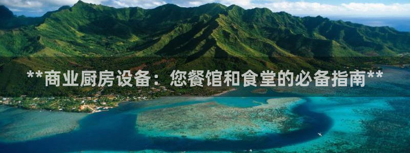 凯时官网：**商业厨房设备：您餐馆和食堂的必备指南**