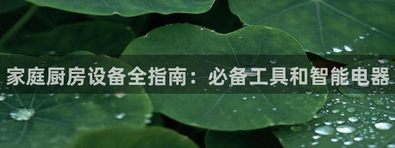 尊龙凯时网站不让提款：家庭厨房设备全指南：必备工具和智能电器