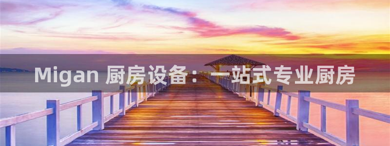 尊龙现金娱乐 下载：Migan 厨房设备：一站式专业厨房