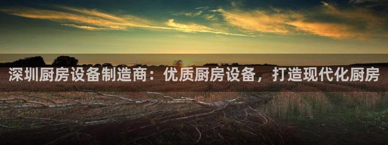 尊龙版末代皇帝：深圳厨房设备制造商：优质厨房设备，打造现代化