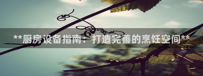 尊龙凯时捕鱼游戏能玩吗：**厨房设备指南：打造完善的烹饪空间
