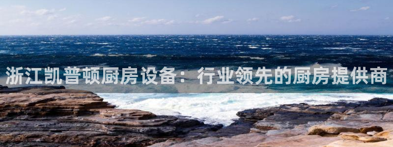 尊龙eight is enough：浙江凯普顿厨房设备：行业