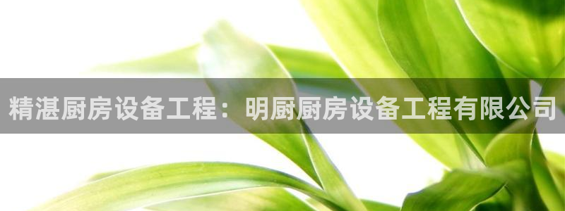 尊龙用现金一下可靠送38元：精湛厨房设备工程：明厨厨房设备工