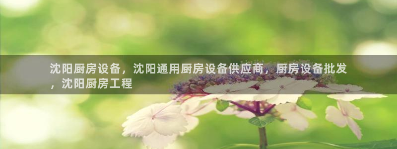 凯时官网联系方式