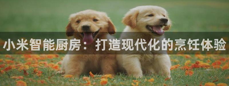 尊龙d88手机app免费下载：小米智能厨房：打造现代化的烹饪