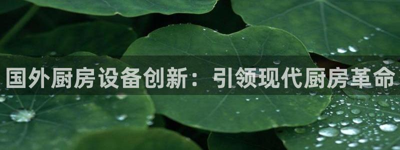 尊龙凯时可以提现吗：国外厨房设备创新：引领现代厨房革命