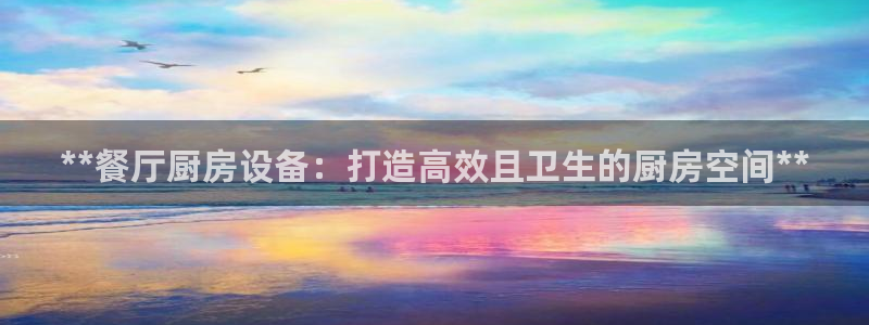 尊龙一人生就是博尊：**餐厅厨房设备：打造高效且卫生的厨房空