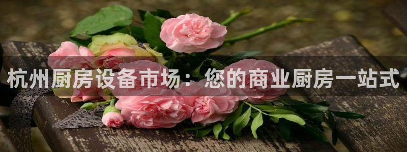 尊龙手机官方客户端下载：杭州厨房设备市场：您的商业厨房一站式
