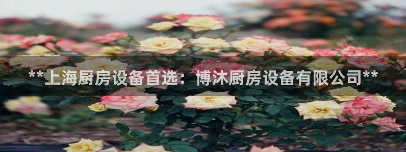 尊龙官方网站最新版V9.3.06介绍：**上海厨房设备首选：