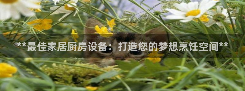 尊龙凯时ag旗舰：**最佳家居厨房设备：打造您的梦想烹饪空间