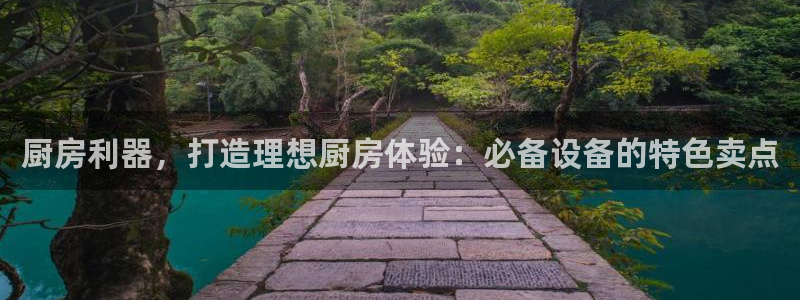 尊龙AG旗舰店：厨房利器，打造理想厨房体验：必备设备的特色卖
