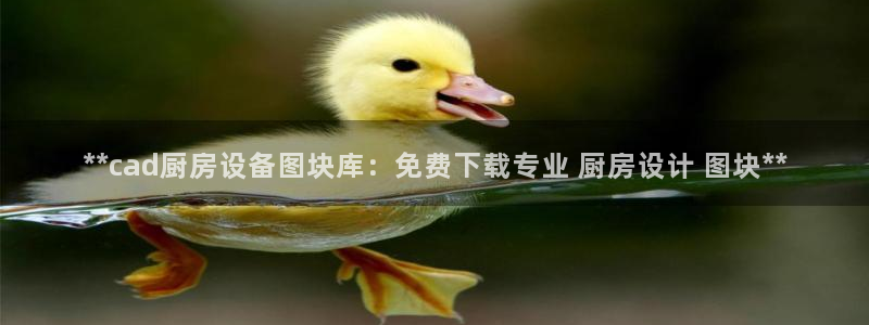 尊龙凯时游戏厅：**cad厨房设备图块库：免费下载专业 厨房