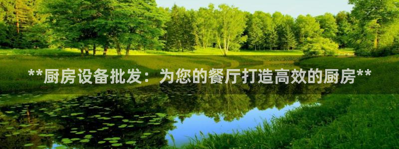 尊龙凯时正规吗：**厨房设备批发：为您的餐厅打造高效的厨房*