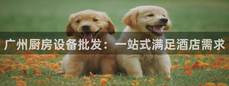 尊龙凯时一人生就是博官网：广州厨房设备批发：一站式满足酒店需