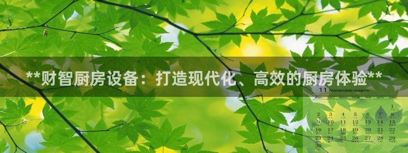 凯时网址多少：**财智厨房设备：打造现代化、高效的厨房体验*