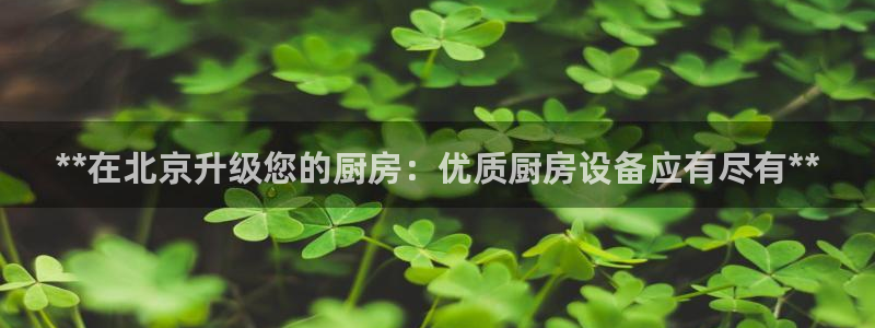 尊龙凯时app官网：**在北京升级您的厨房：优质厨房设备应有