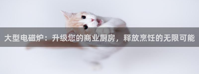 尊龙手机客户端下载