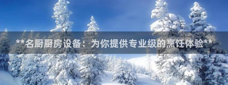 尊龙会ktv价格：**名厨厨房设备：为你提供专业级的烹饪体验