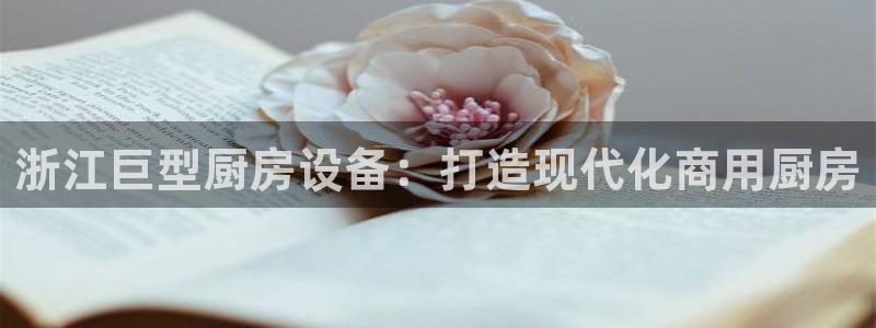 尊龙网平台：浙江巨型厨房设备：打造现代化商用厨房