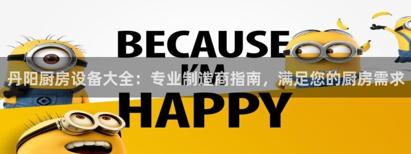 尊龙饰演过的经典角色：丹阳厨房设备大全：专业制造商指南，满足