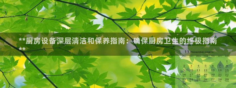 ag尊龙官方网站app：**厨房设备深层清洁和保养指南：确保